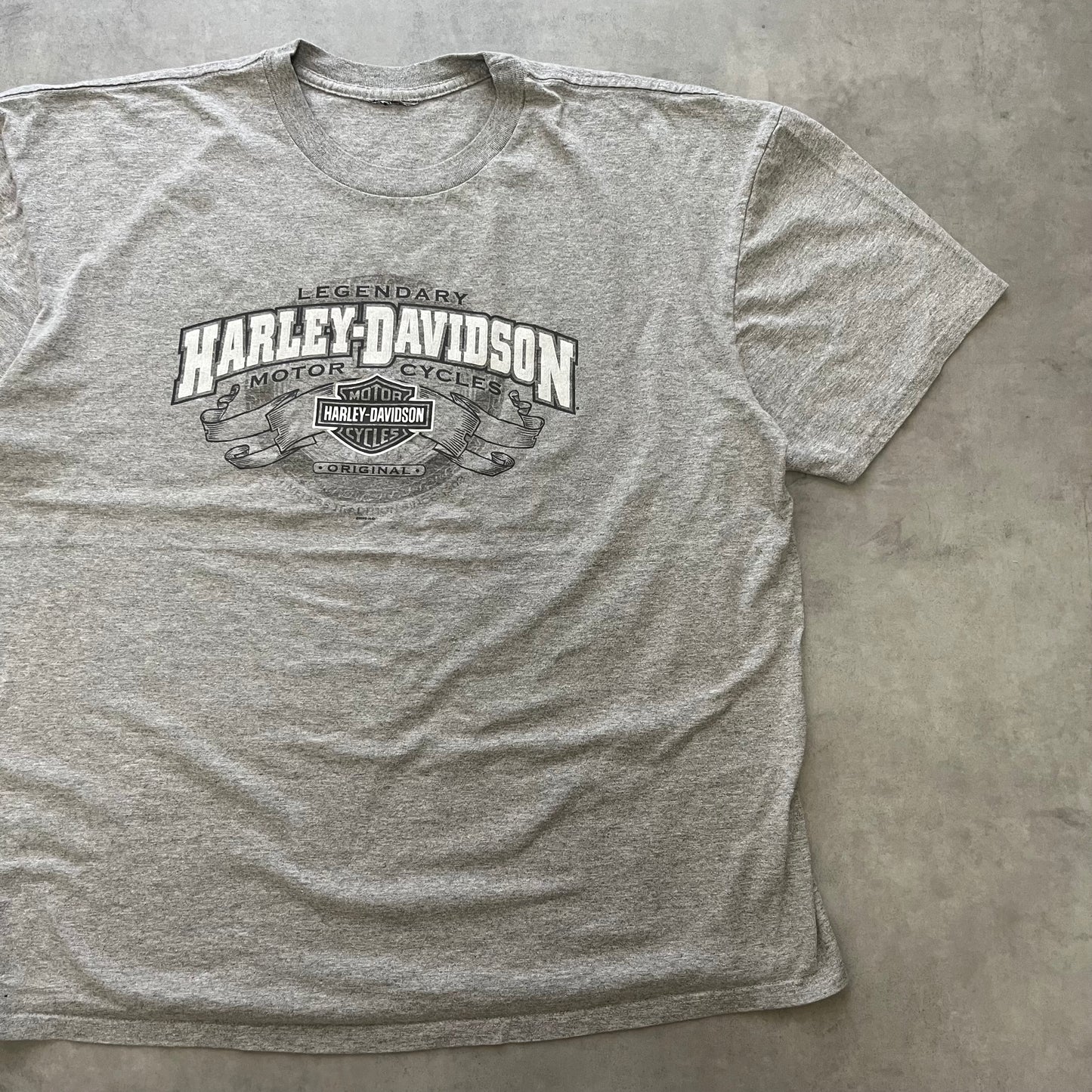 【USED】00s Harley-Davidson 2009 Double-Sided Logo Tee Gray