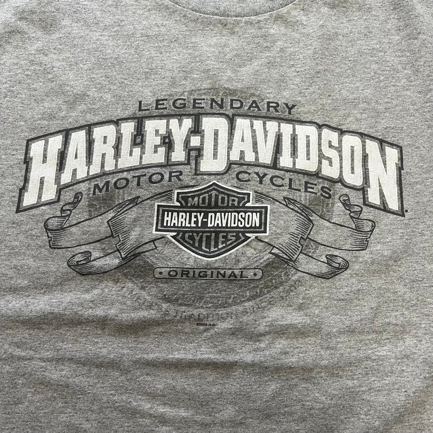 【USED】00s Harley-Davidson 2009 Double-Sided Logo Tee Gray