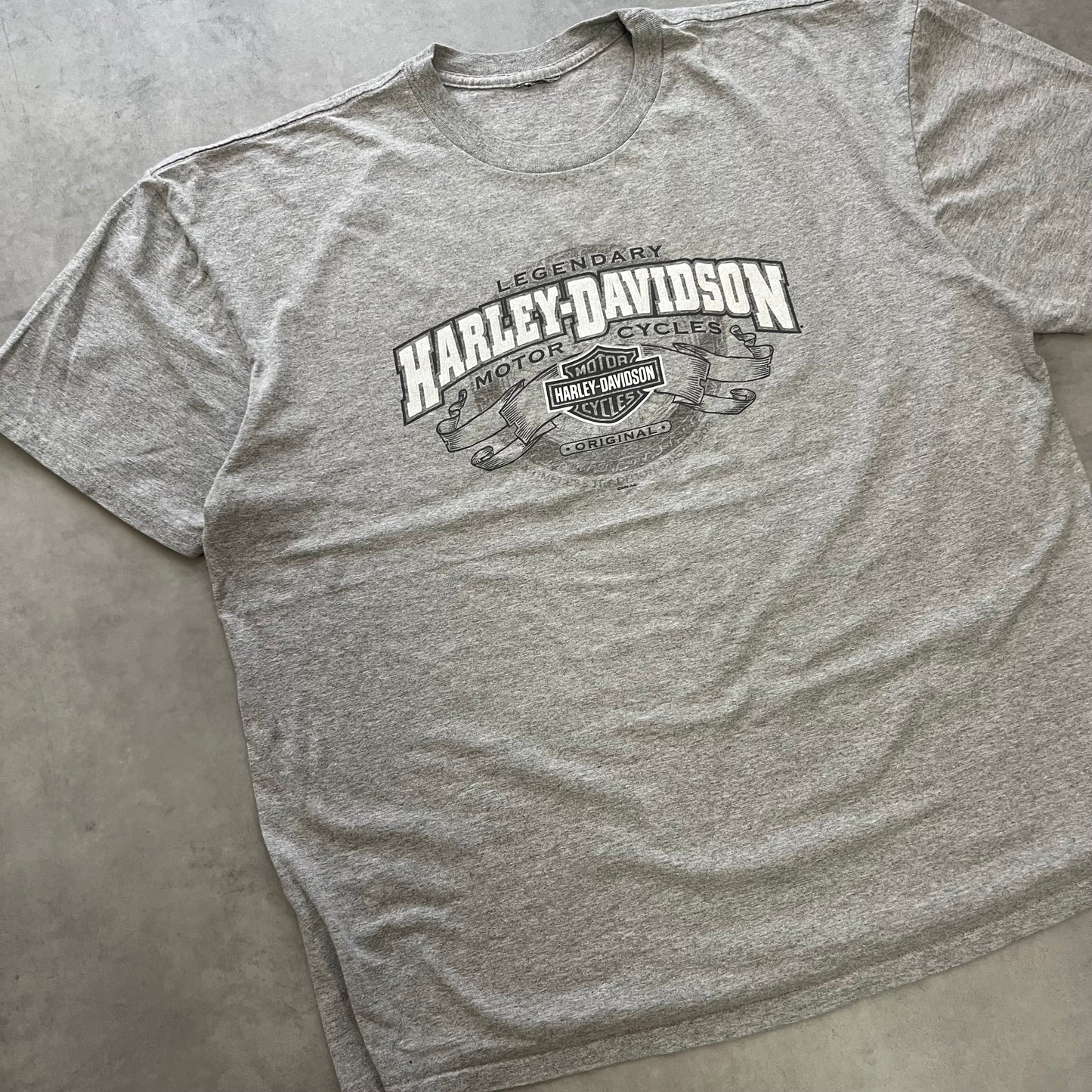【USED】00s Harley-Davidson 2009 Double-Sided Logo Tee Gray