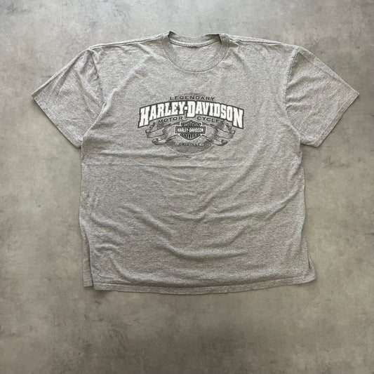 【USED】00s Harley-Davidson 2009 Double-Sided Logo Tee Gray
